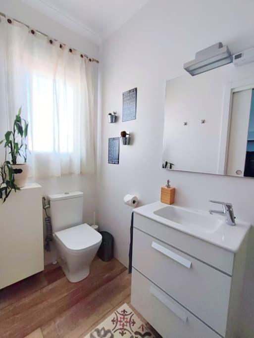 Bright And Quiet Studio In Málaga Esterno foto